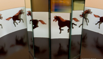 Музей занимательных наук ЭЙНШТЕЙНА